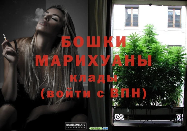 стаф Балахна