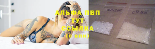 стаф Балахна