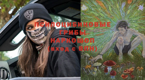 стаф Балахна